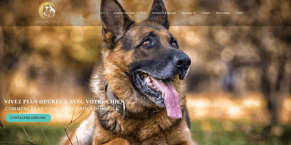Création de site internet et référencement SEO pour Coach Canin à Domicile par Sarthewebconsulting