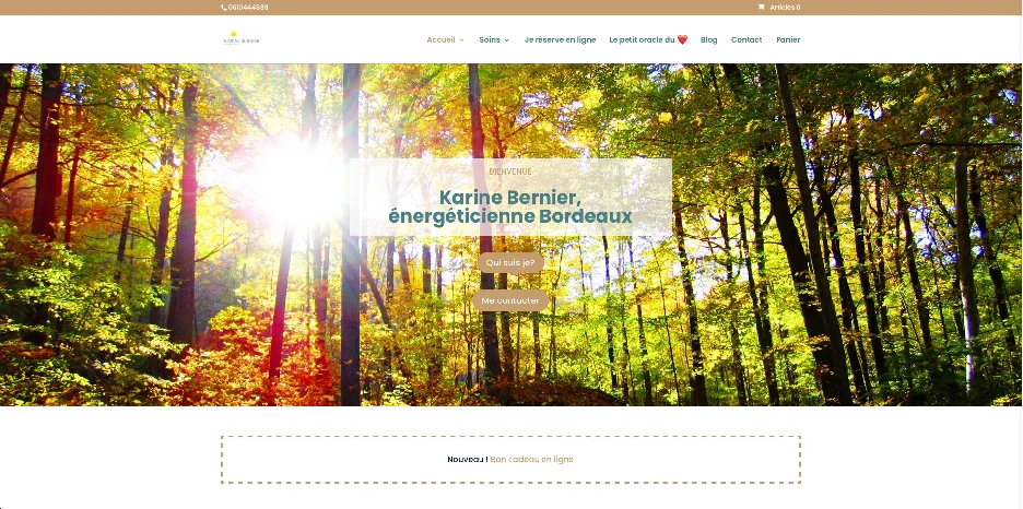 Création de site internet et référencement SEO pour Karine Bernier – Énergéticienne par Sarthewebconsulting