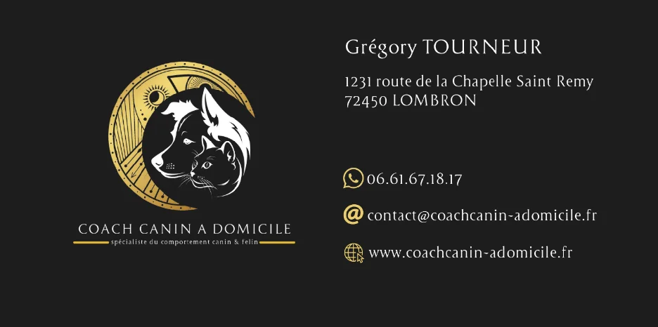 Création de logo et carte de visite pour Coach Canin à Domicile par Sarthewebconsulting