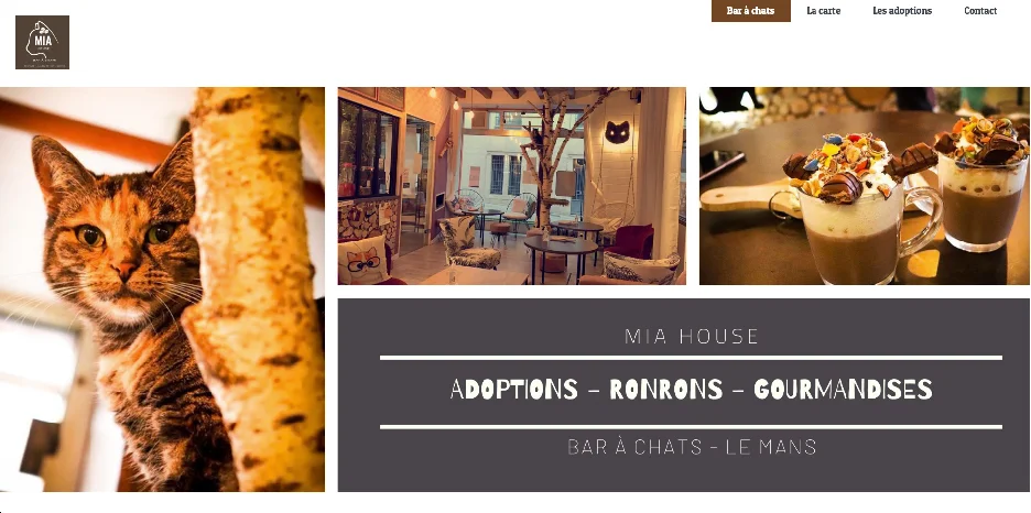 Création de site internet pour Mia House par Sarthewebconsulting